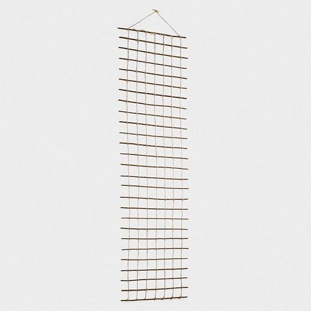 Rankleiter Weide, 50 x 200 cm